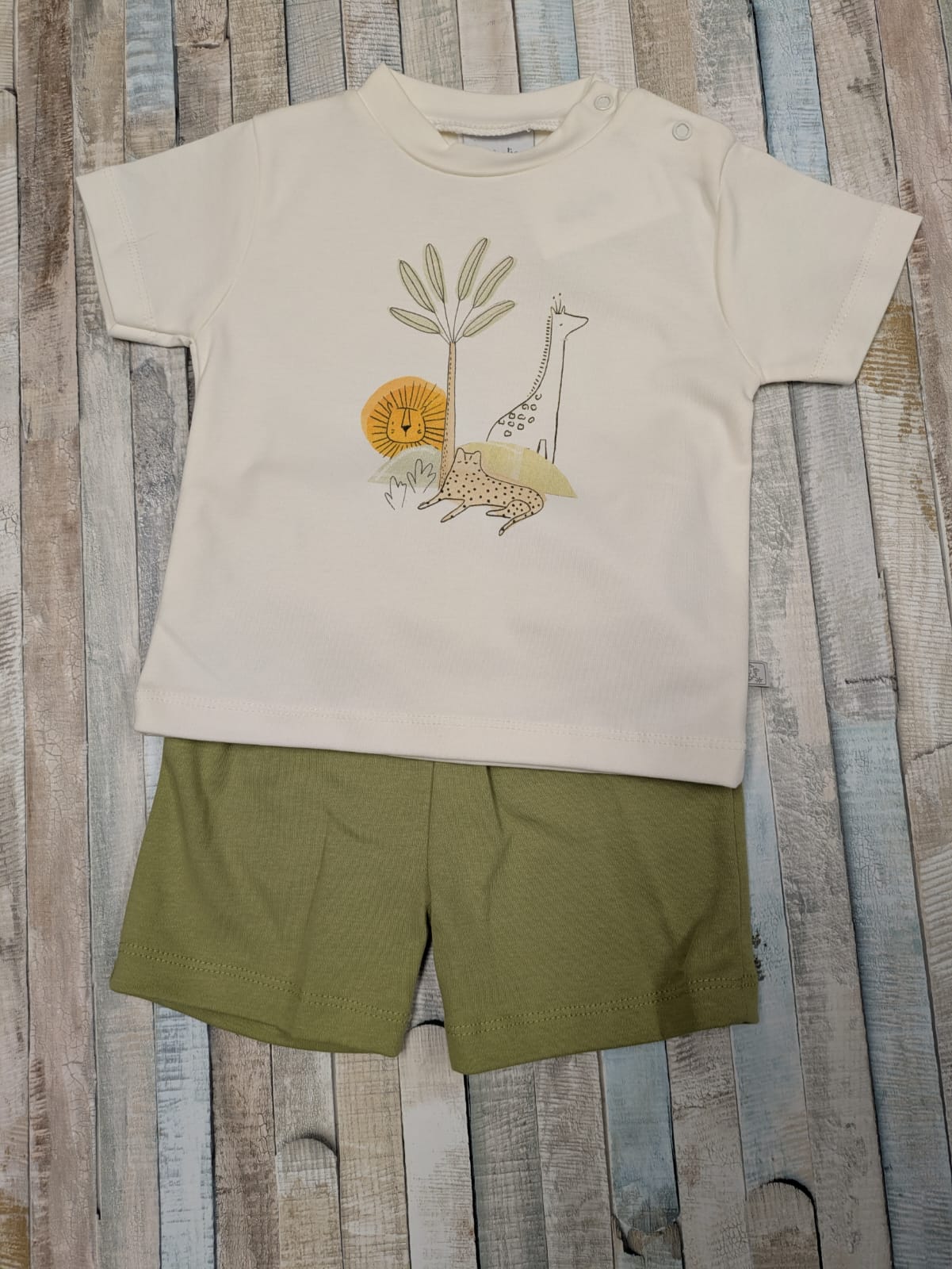Nana's Special Buys Boys Dinosaur Short Set