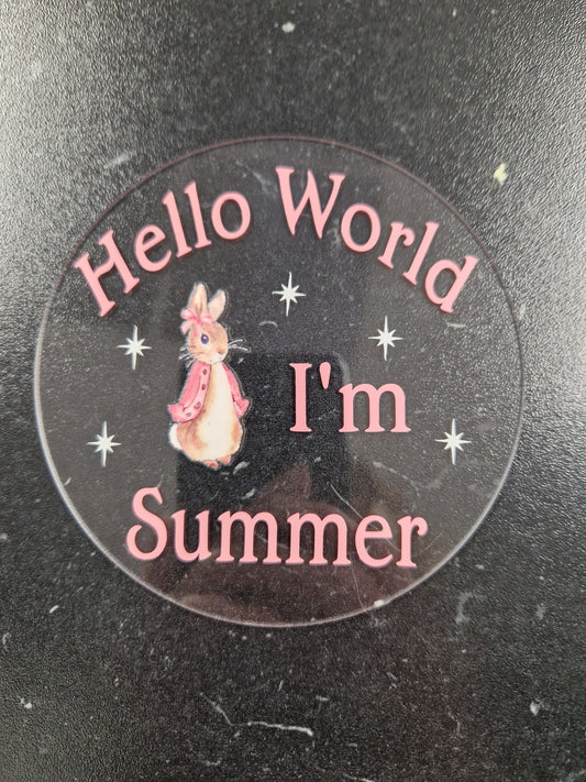 Personalised Clear Pink Rabbit Hello World Announcement Disc