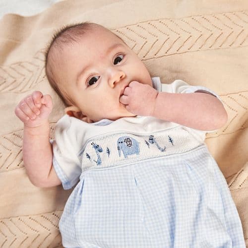 Baby Boys Dandelion Little Jungle Friends Romper - Nana B Baby & Childrenswear Boutique