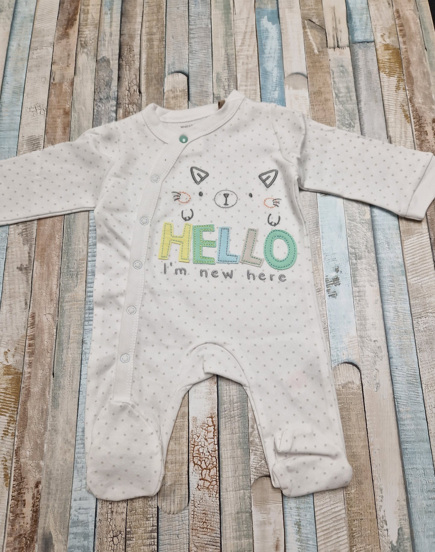 Unisex Baby Im New Here Baby Gro