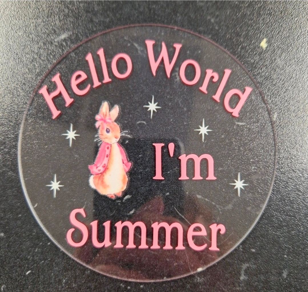 Personalised Clear Pink Rabbit Hello World Announcement Disc