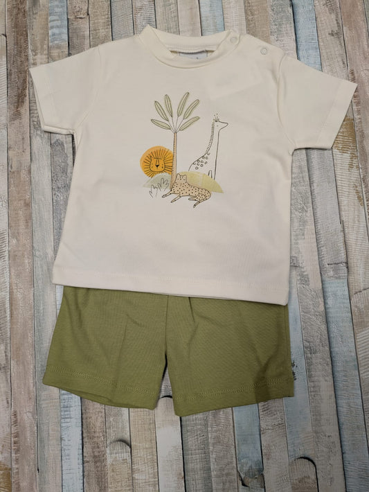 Nana's Special Buys Boys Dinosaur Short Set