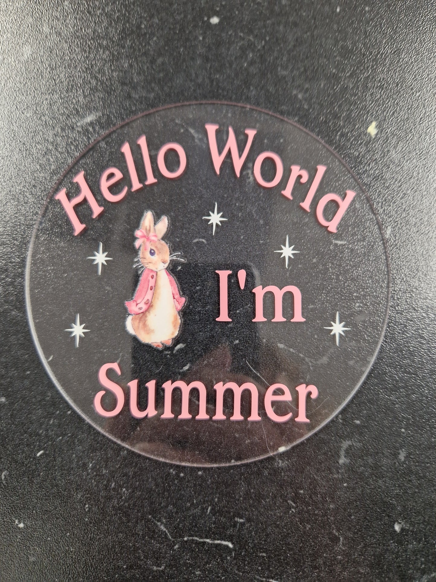 Personalised Clear Pink Rabbit Hello World Announcement Disc