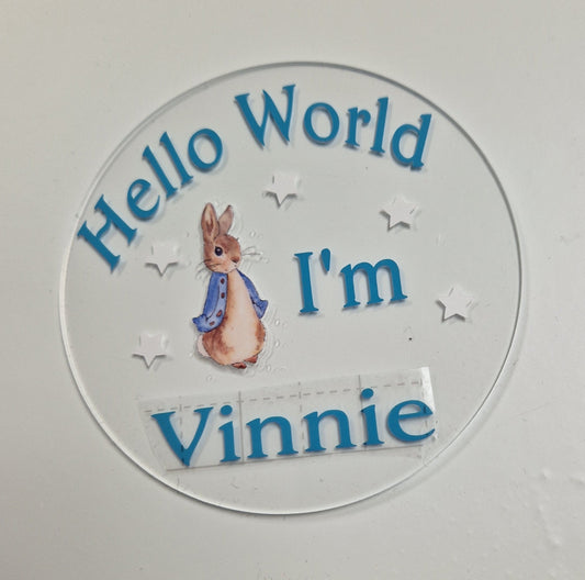 Personalised Clear Blue Rabbit Hello World Announcement Disc