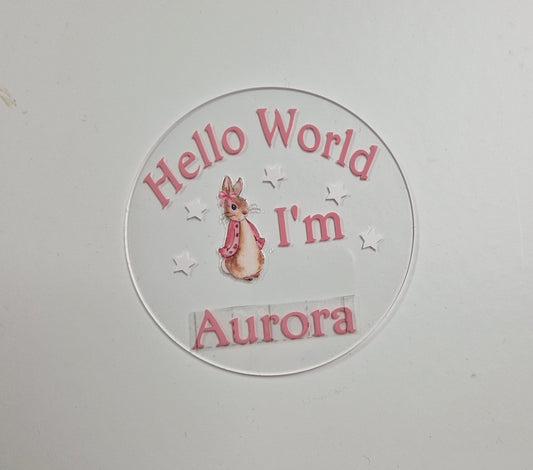 Personalised Clear Pink Rabbit Hello World Announcement Disc