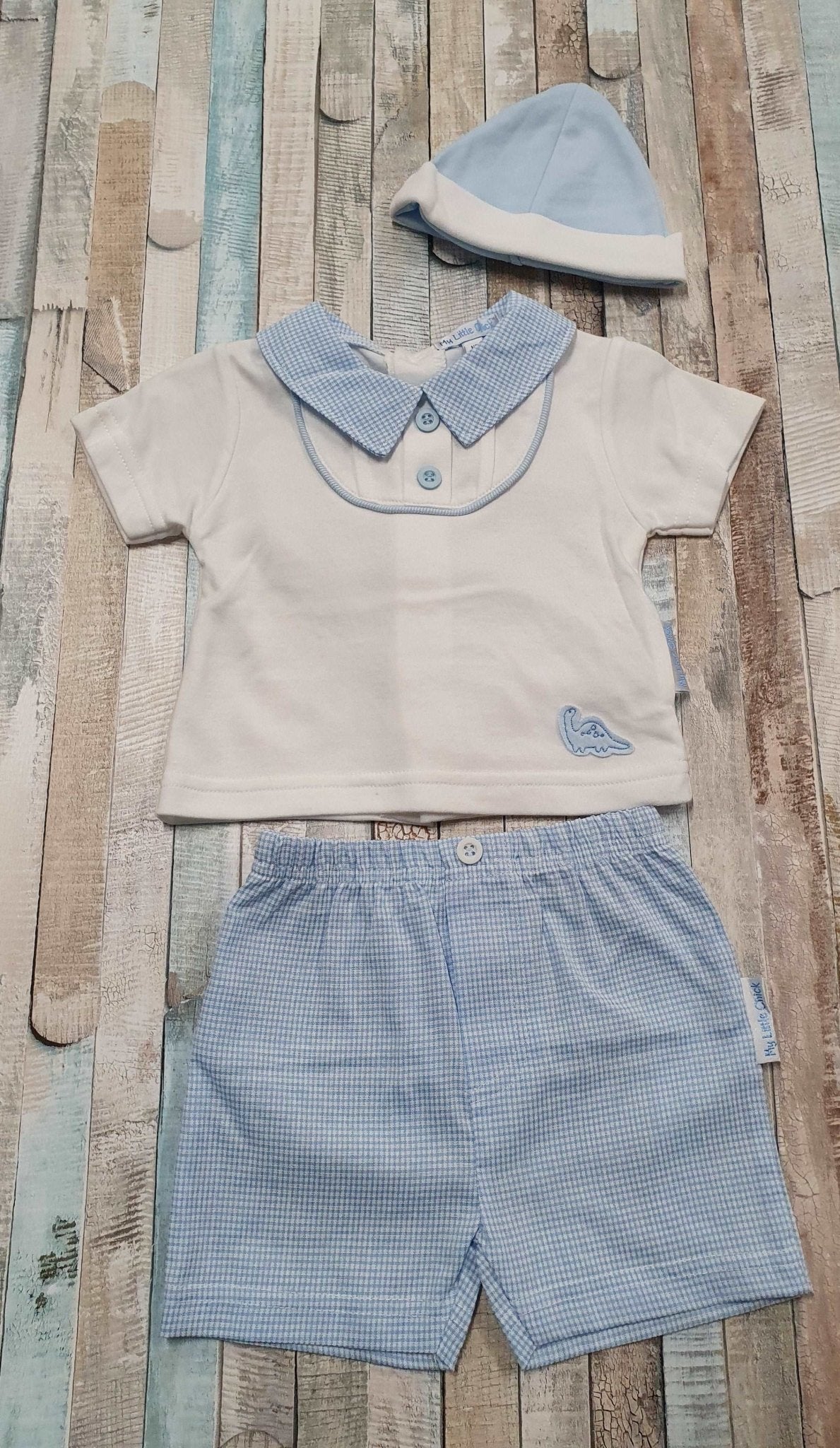 Baby Boys Dinosaur Blue & White Short Set - Nana B Baby & Childrenswear Boutique