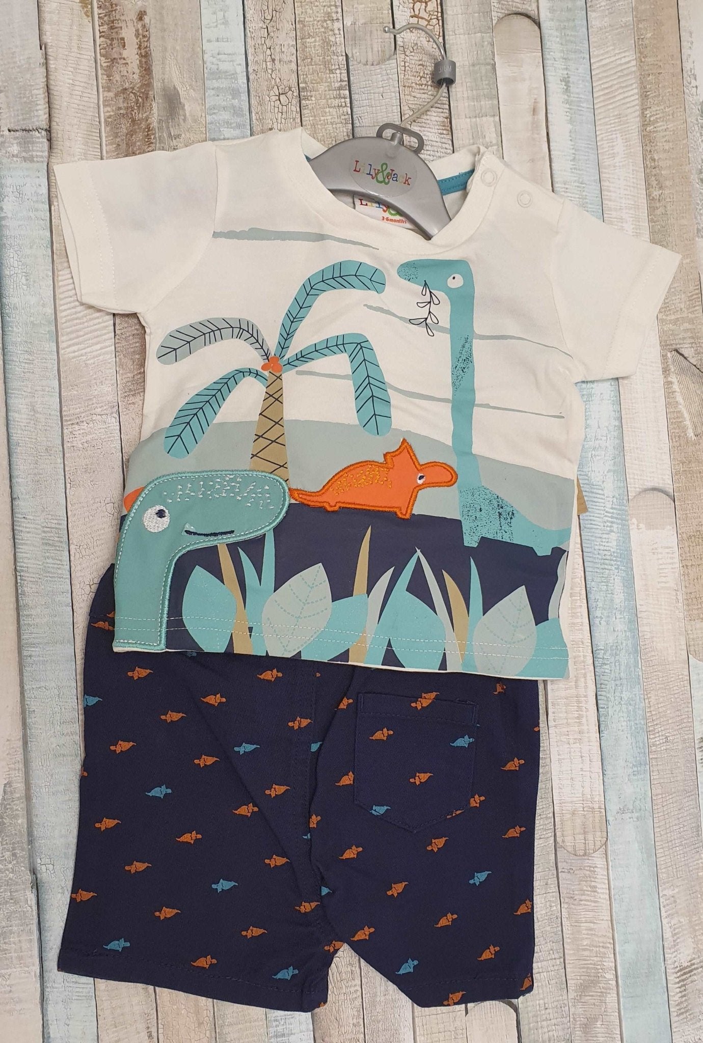 Baby Boys Dinosaur Short Set - Nana B Baby & Childrenswear Boutique